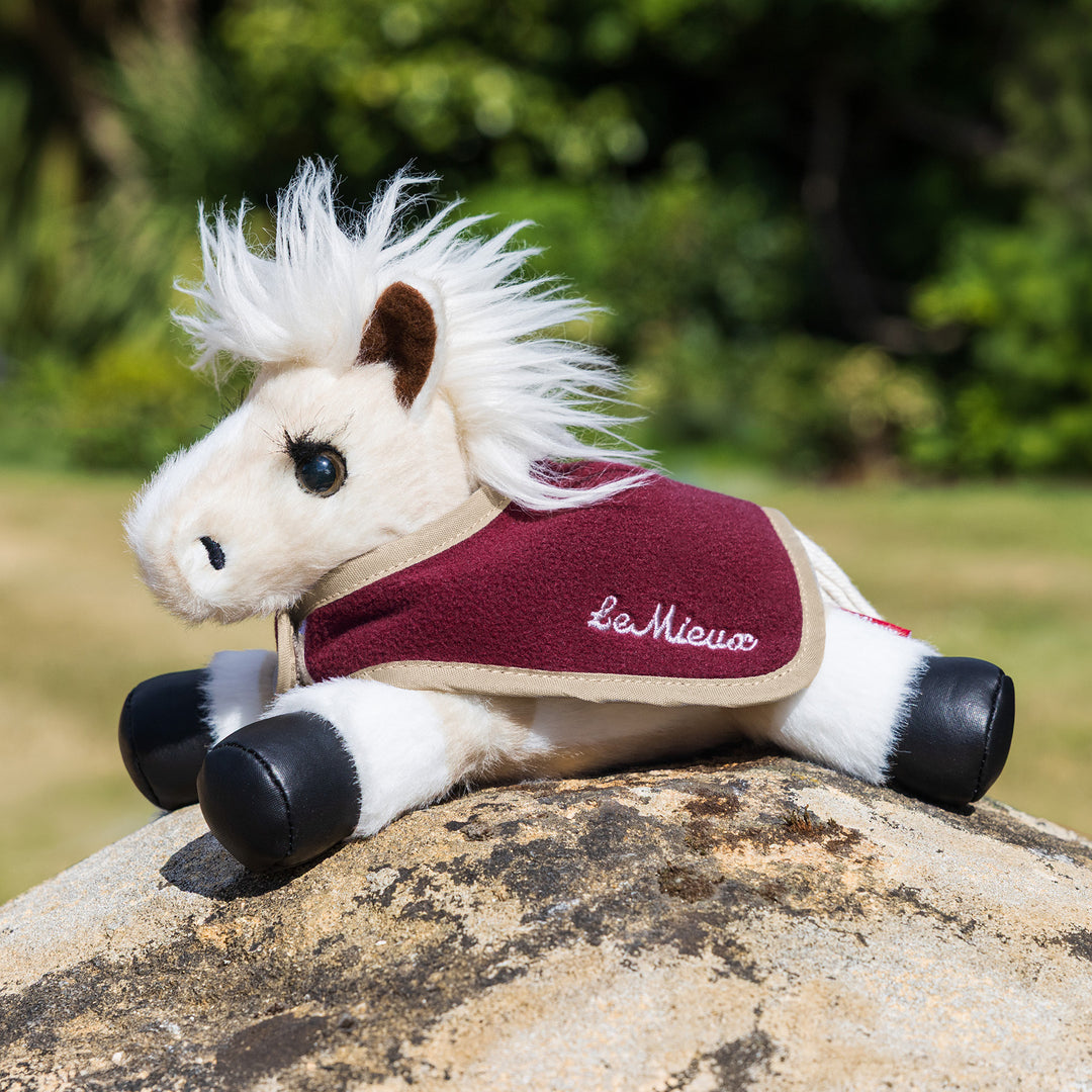 LeMieux Tiny Rugs 2 Pack - Blackberry/Spiced Earth