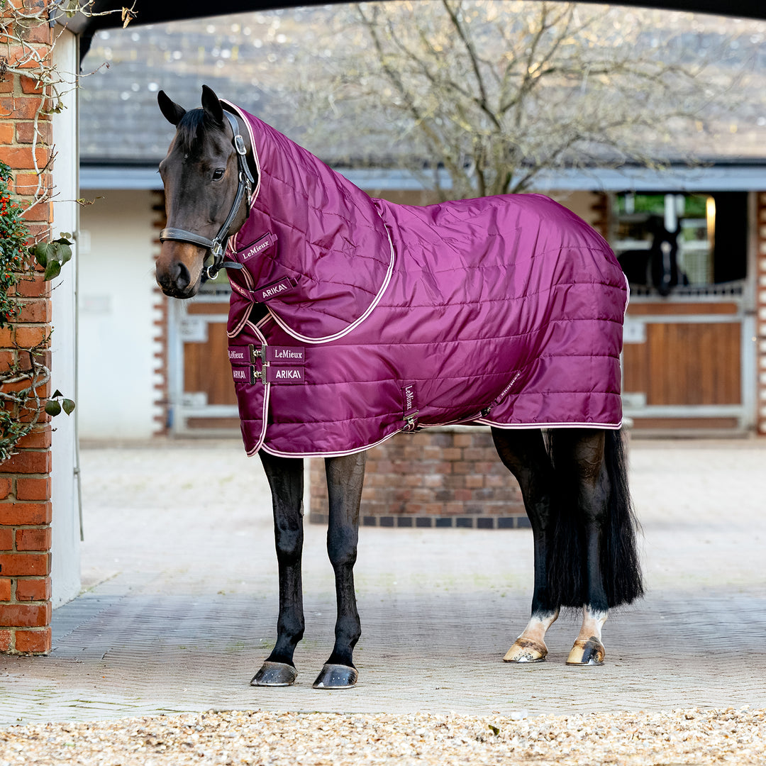 LeMieux Arika 100g Stable-Tek with Neck - Blackberry