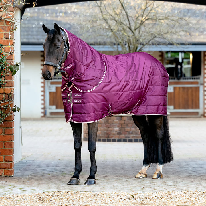 LeMieux Arika 100g Stable-Tek with Neck - Blackberry
