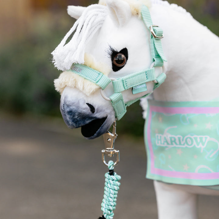 LeMieux Harlow Toy Pony Headcollar & Leadrope - Softmint
