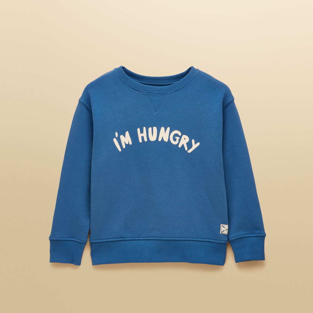 Joules Boys Sundaze Sweater