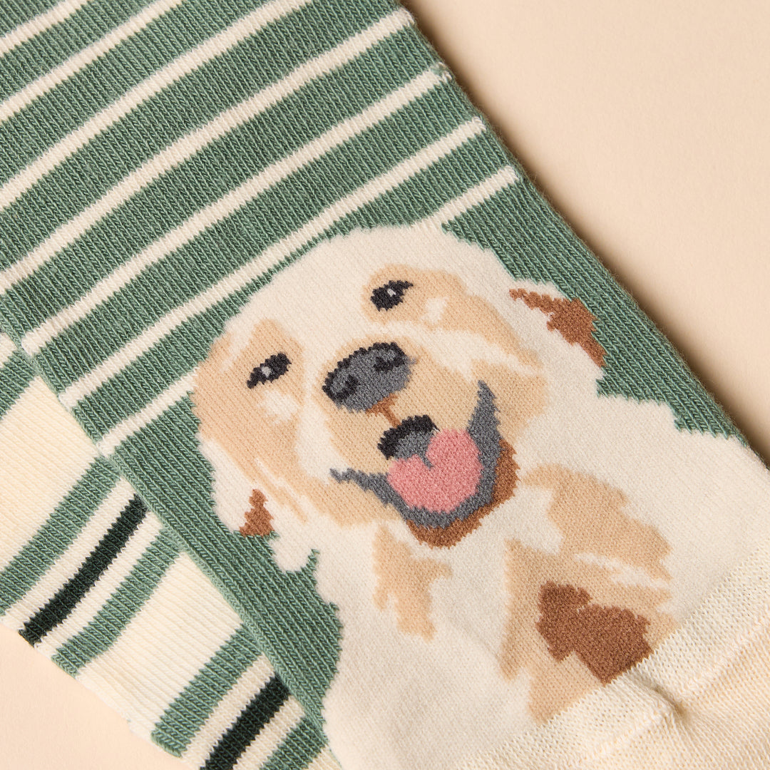Joules Ladies Everyday 2 Pack Socks