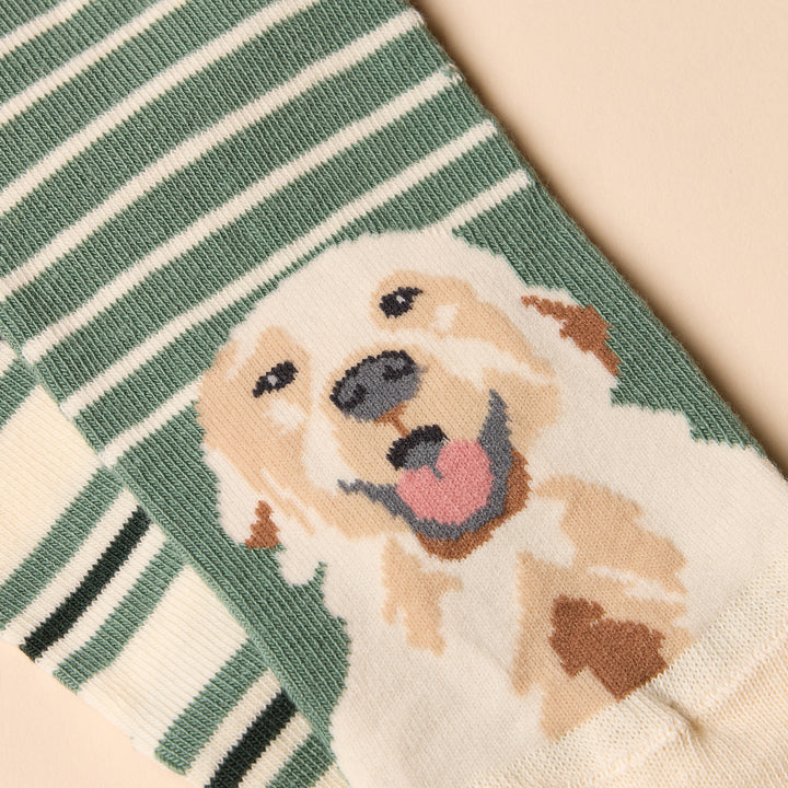 Joules Ladies Everyday 2 Pack Socks