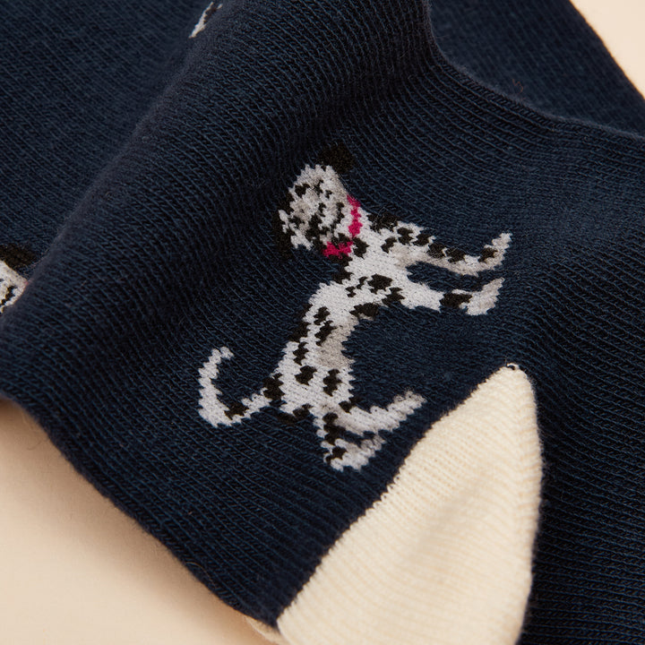 Joules Ladies Everyday 2 Pack Socks