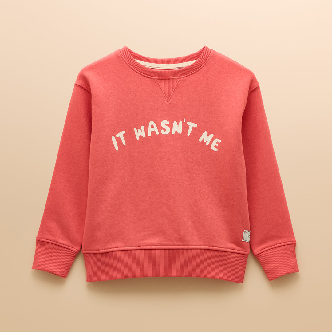 Joules Boys Sundaze Jumper