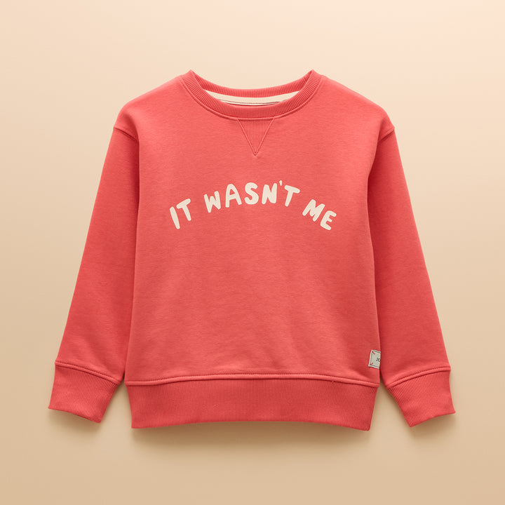 Joules Boys Sundaze Jumper