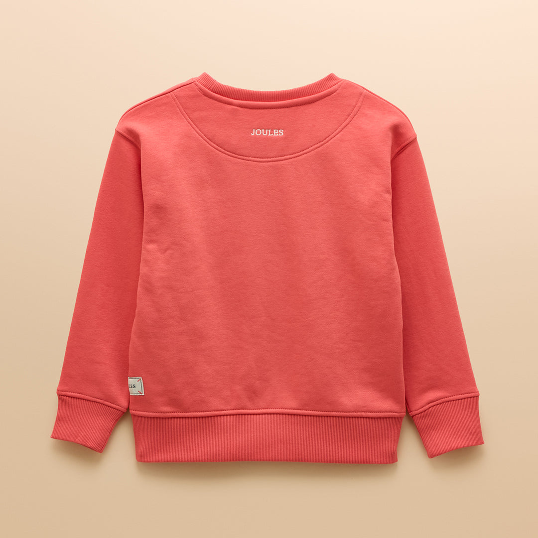 Joules Boys Sundaze Jumper