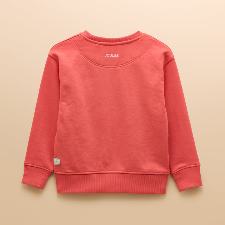 Joules Boys Sundaze Jumper