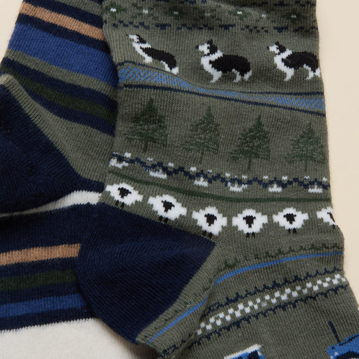 Joules Mens Kingsbury Two Pack Socks