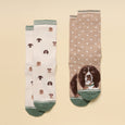 Joules Ladies Everyday Two Pack Socks