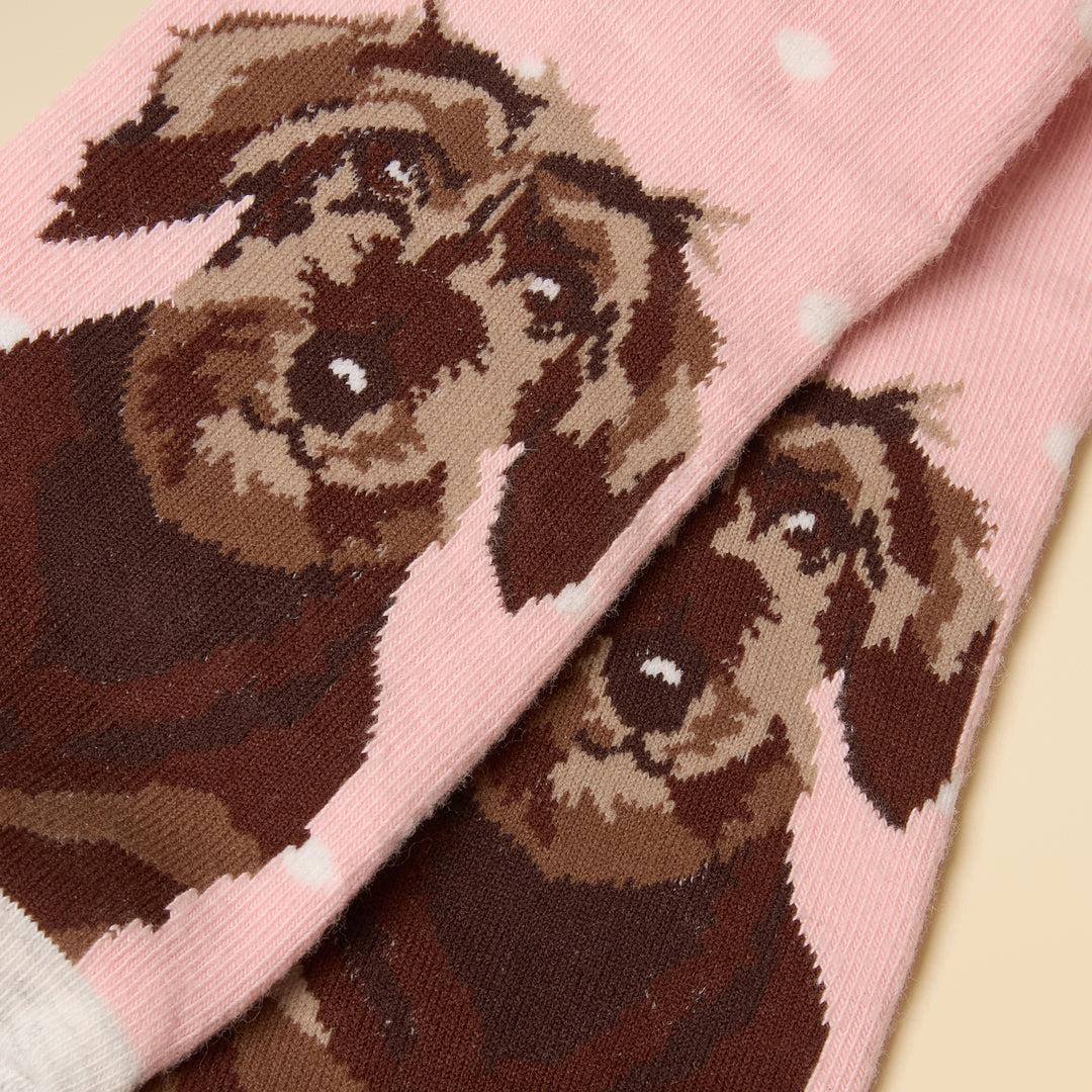 Joules Ladies Everyday Two Pack Socks