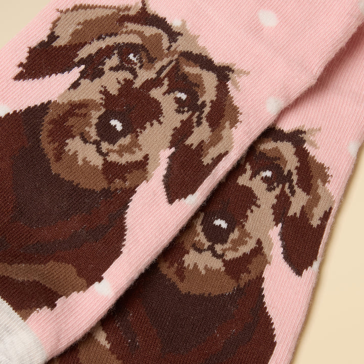 Joules Ladies Everyday Two Pack Socks