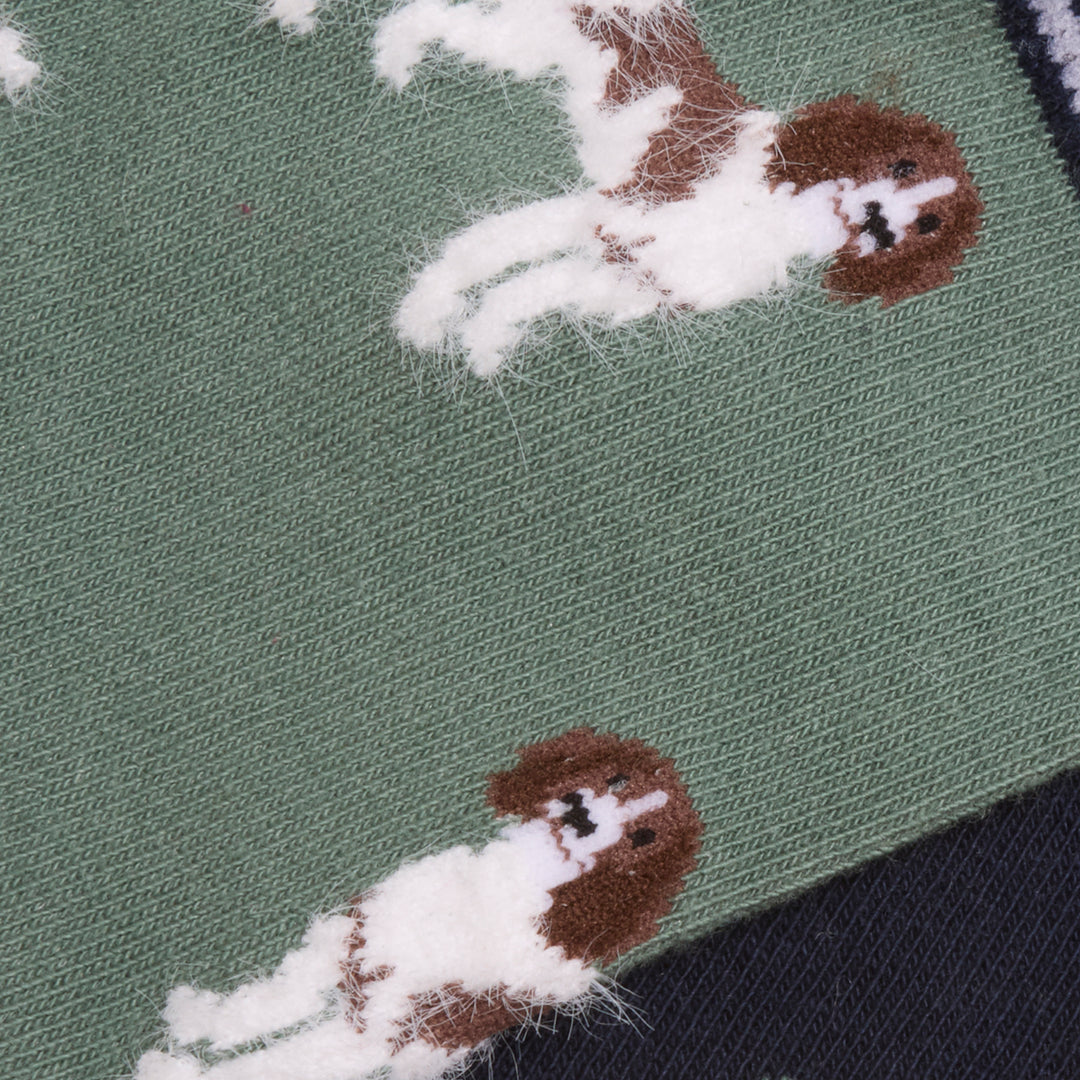Joules Ladies Everyday Two Pack Socks