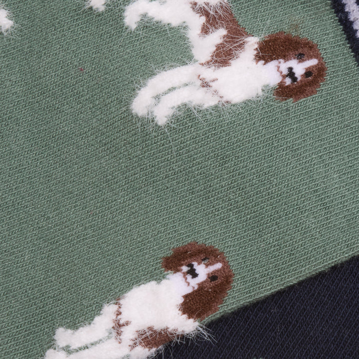 Joules Ladies Everyday Two Pack Socks