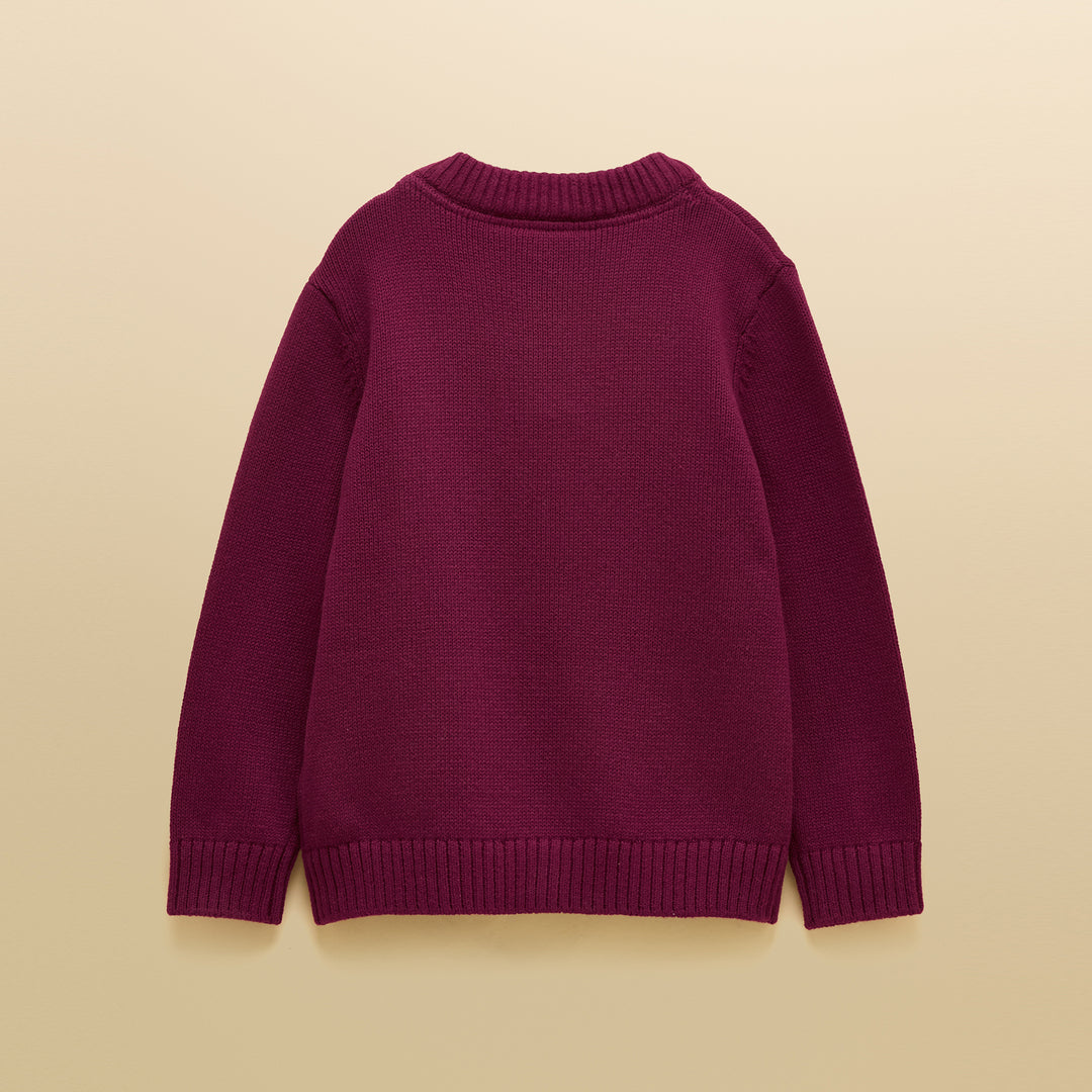 Joules Boys Cracking Jumper
