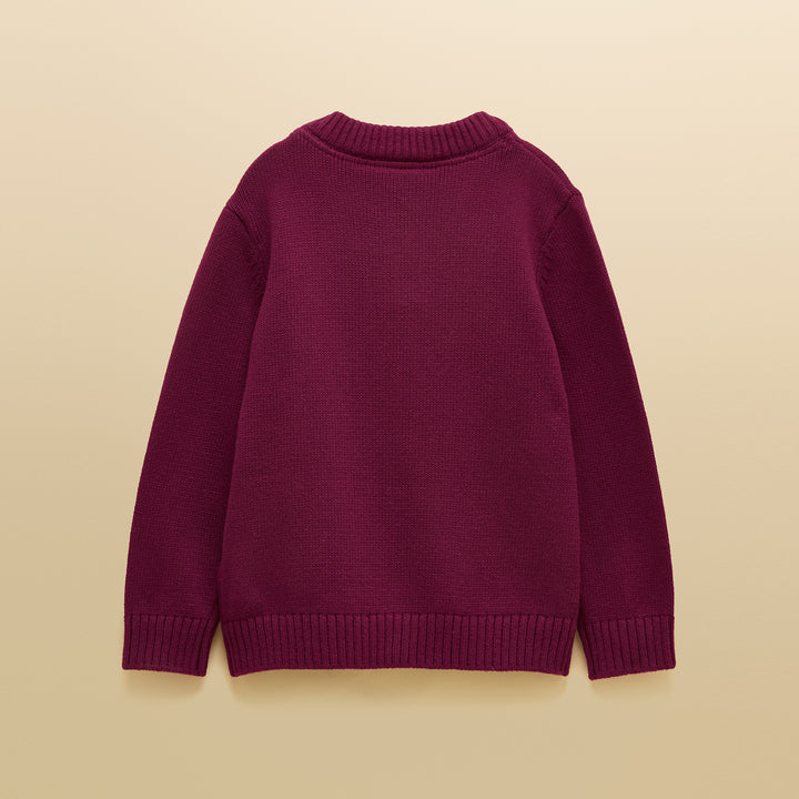 Joules Boys Cracking Jumper