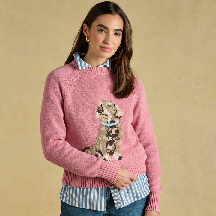 Joules Ladies Dachshund Knit Jumper