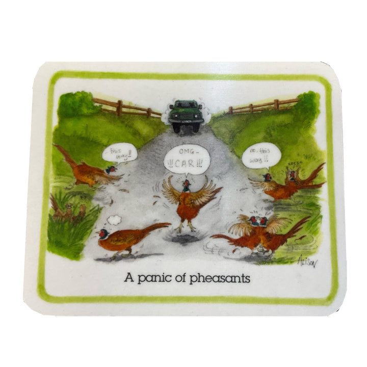 Splimple Coaster