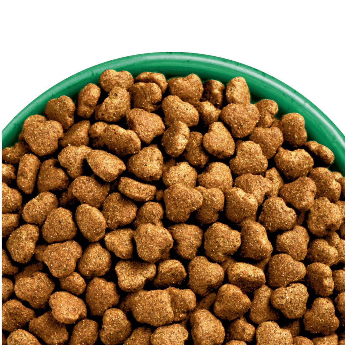 Wellness complete health clearance senior dog food