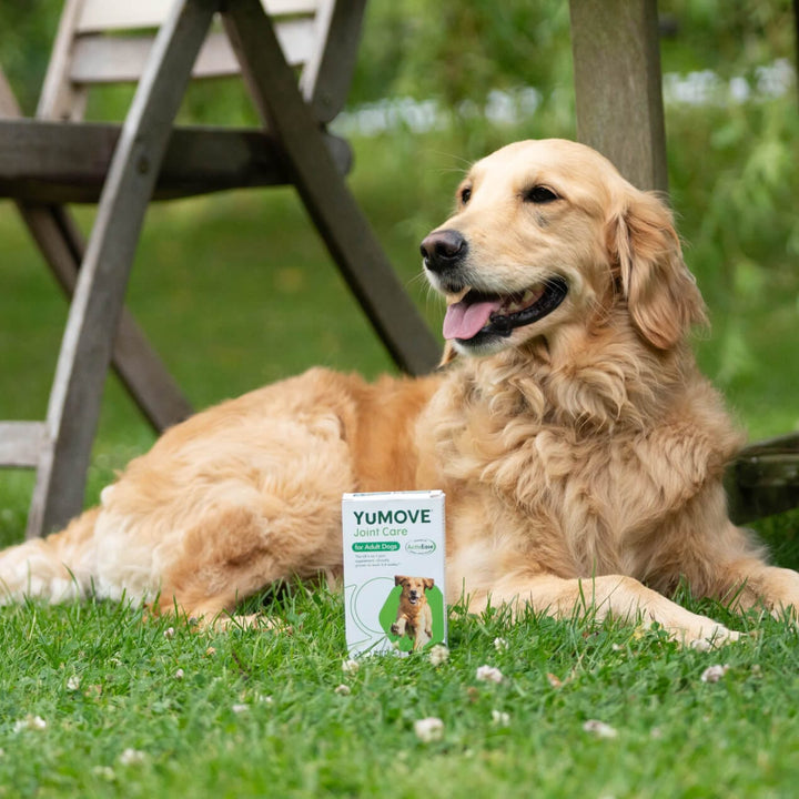 YuMove Joint Tablets for Dogs