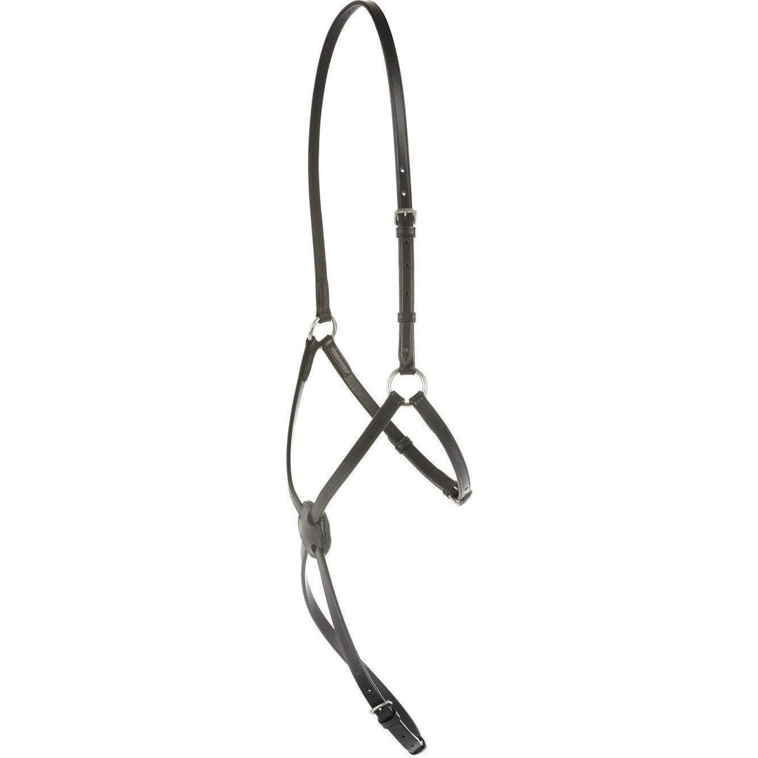 Kincade Classic Plain Raised Grackle Noseband in black leather