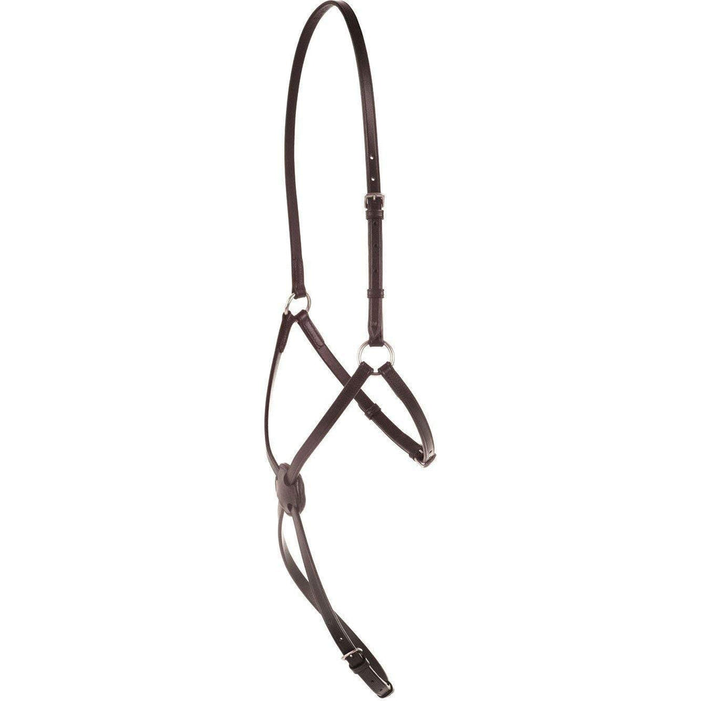 Kincade Classic Plain Raised Grackle Noseband in Brown