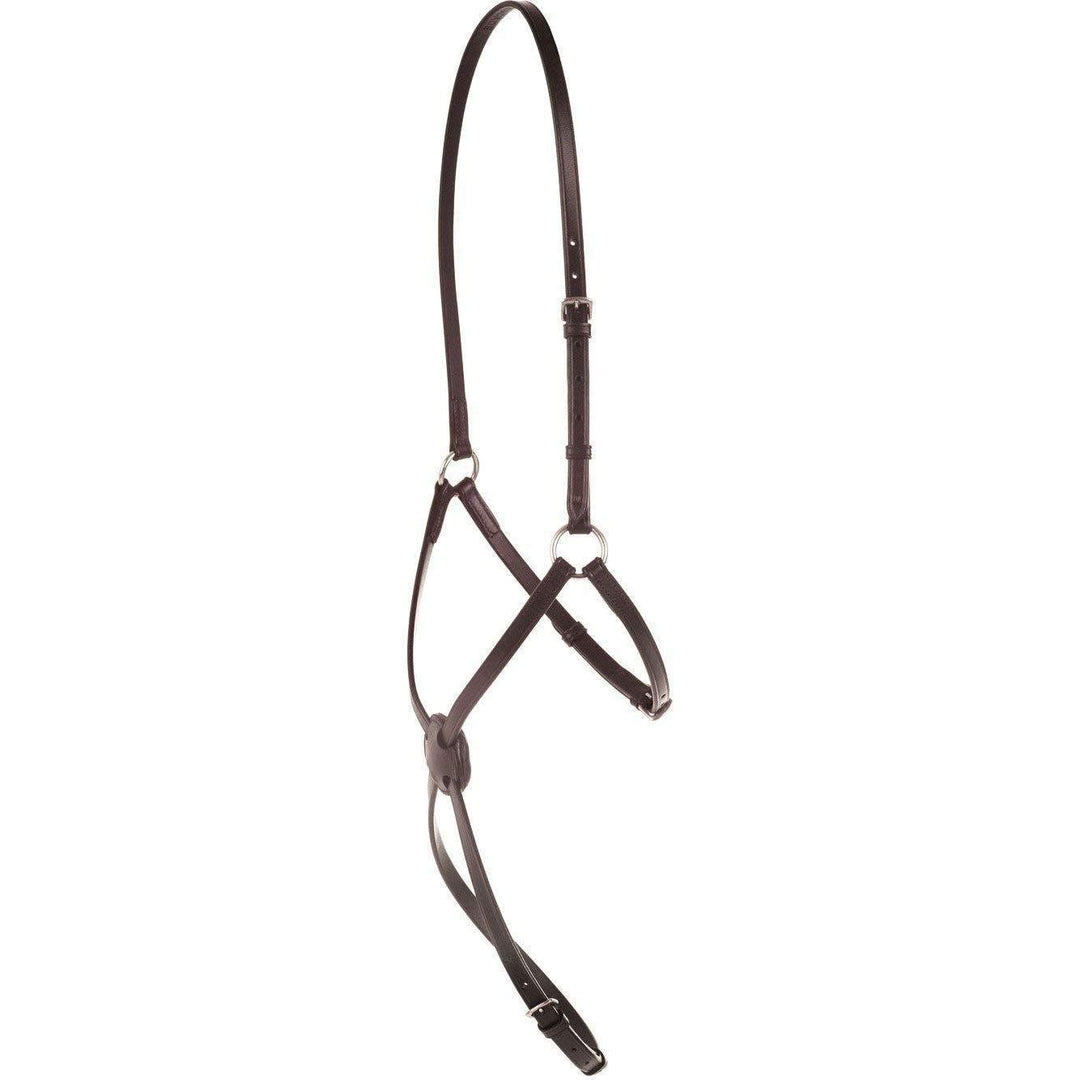 Kincade Classic Plain Raised Grackle Noseband in Brown
