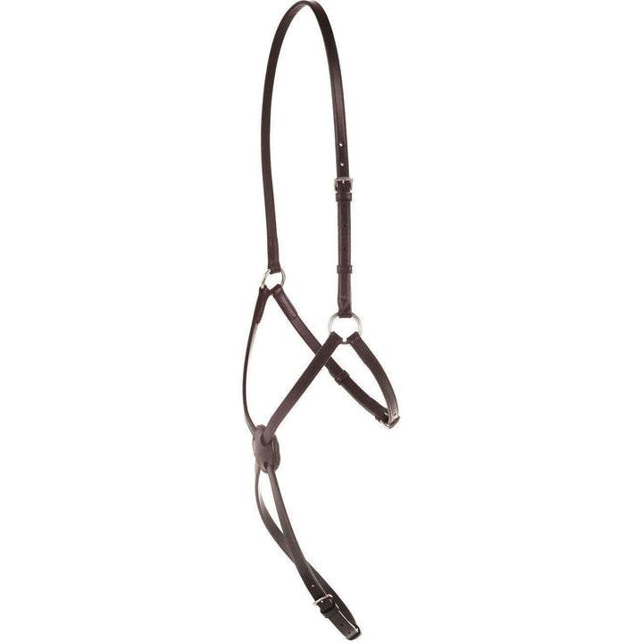 Kincade Classic Plain Raised Grackle Noseband in Brown