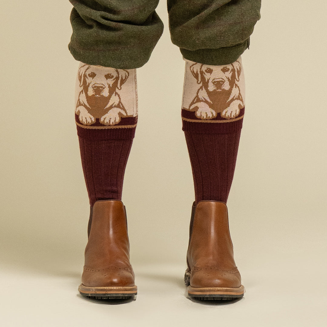 Waring Brooke Loyal Labrador Socks