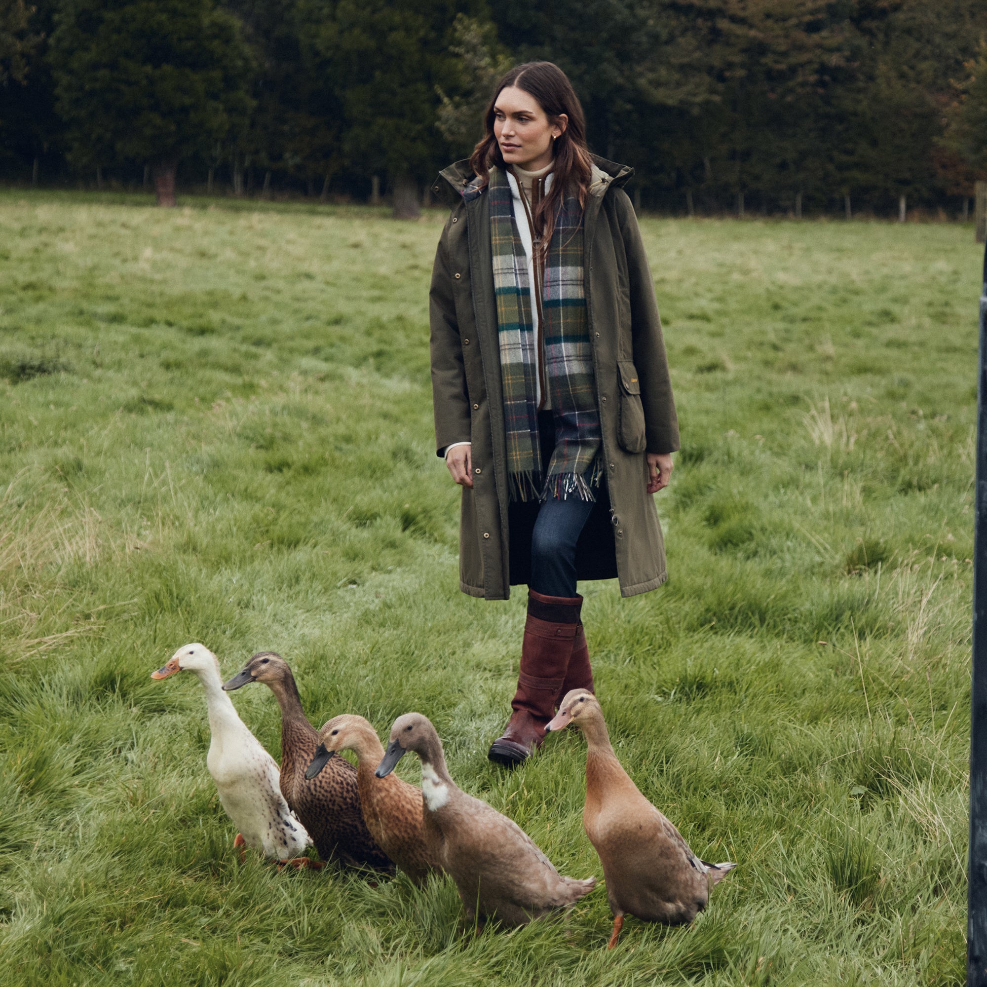 Barbour Ladies Bamburgh Waterproof Jacket - Olive/Classic