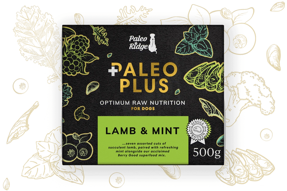 Paleo Ridge Paleo Plus Lamb & Mint | Millbry Hill
