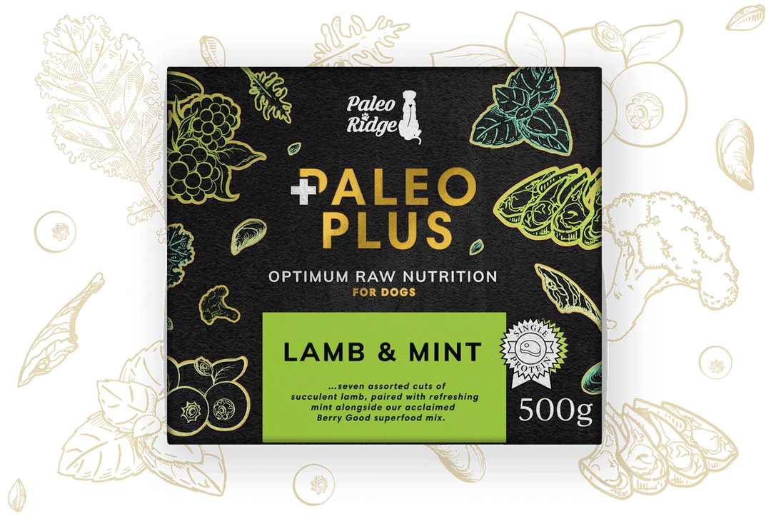 Paleo Ridge Paleo Plus Lamb & Mint
