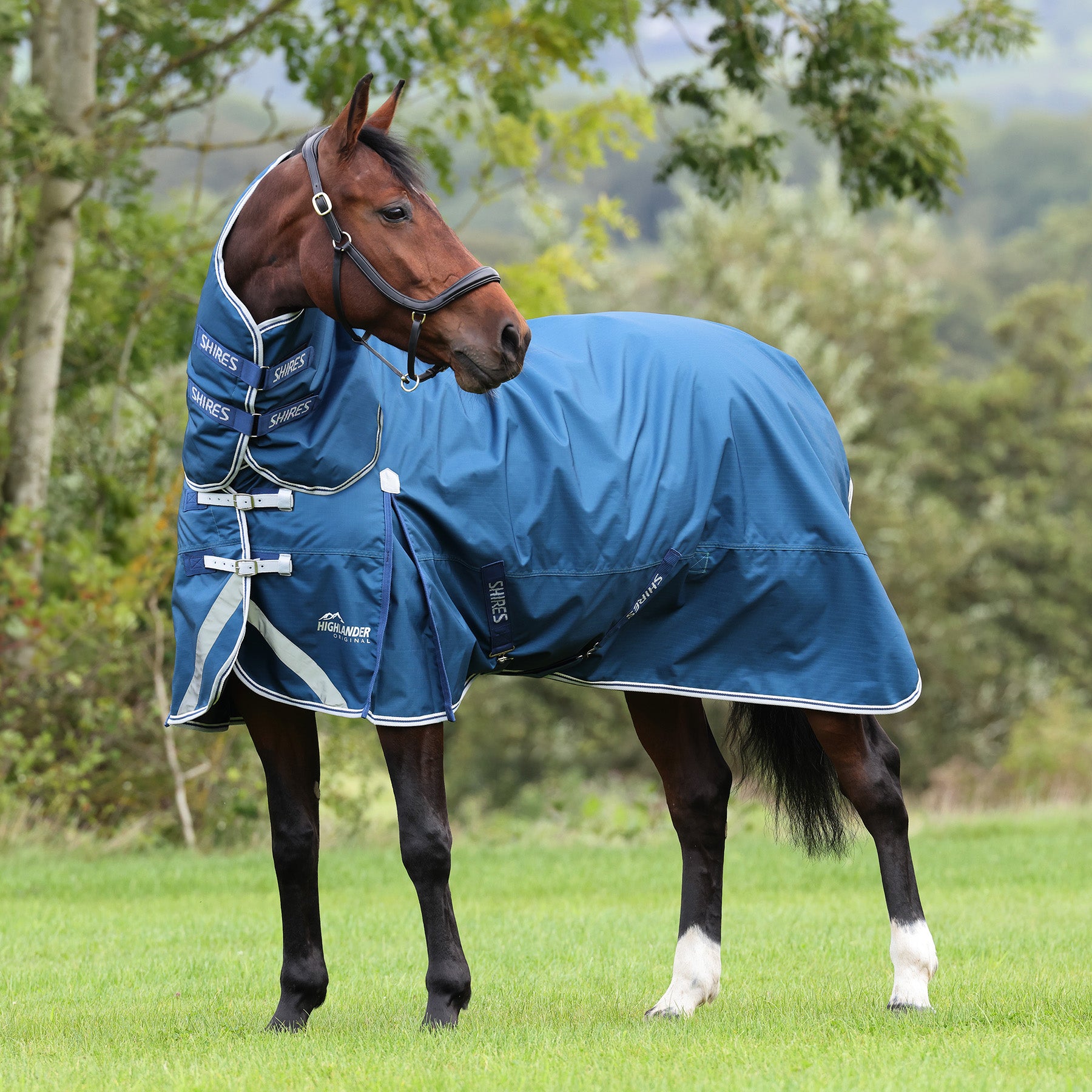 Horse in a field wearing a Shires Highlander turnout rug