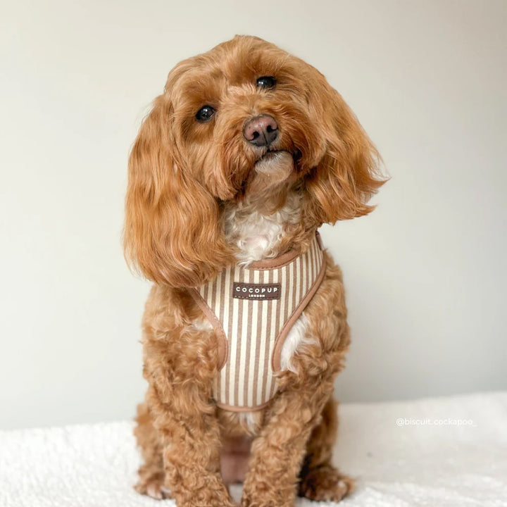 Cocopup London Linen Stripes Harness