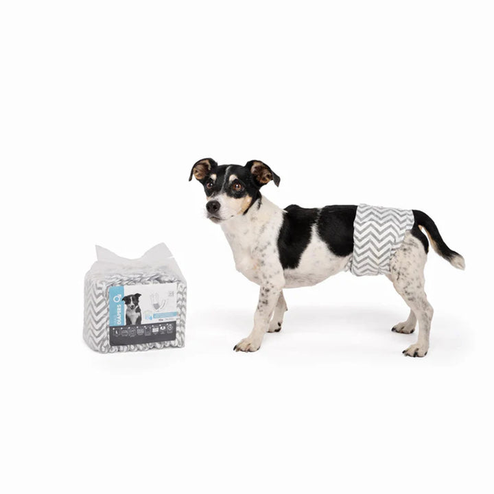 M-PETS Male Dog Diapers