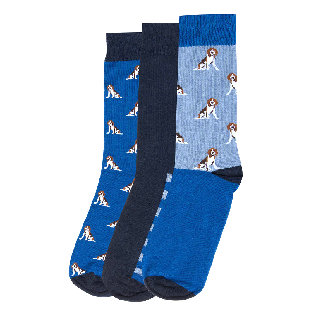 The Barbour Beagle Dog Sock Gift Set in Blue Print#Blue Print
