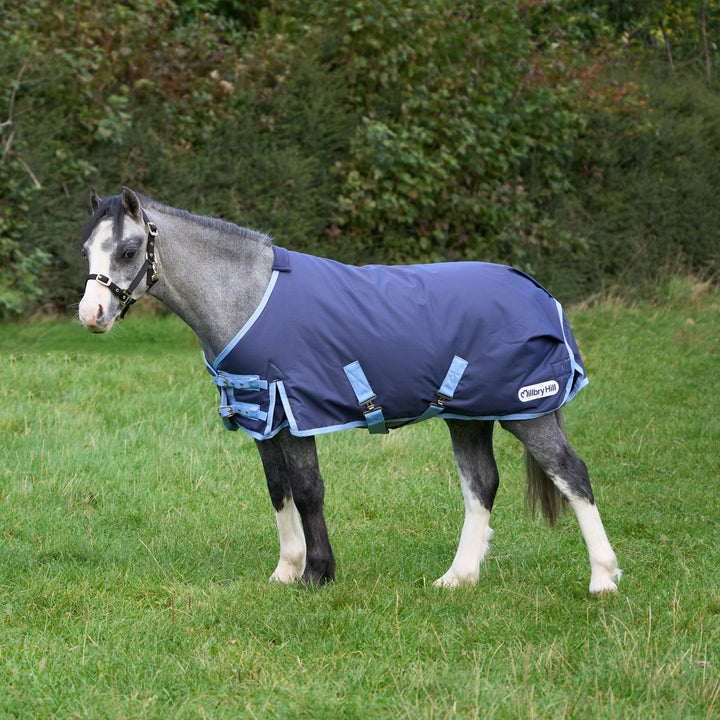 Millbry Hill 200g Classic Standard Turnout Rug