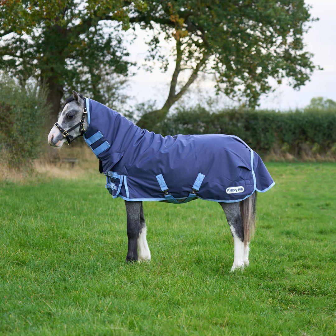Millbry Hill 200g Classic Combo Turnout Rug