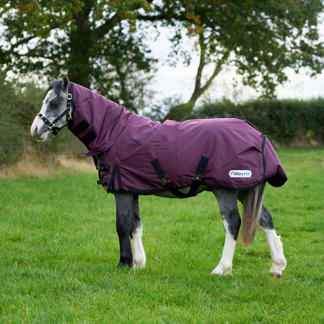 Millbry Hill Limited Edition 200g Combo Turnout Rug