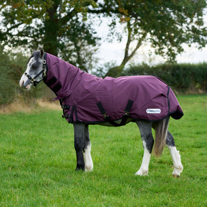 Millbry Hill Limited Edition 200g Combo Turnout Rug