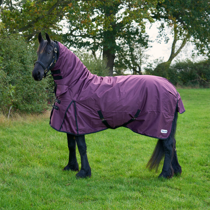 Millbry Hill Limited Edition 200g Combo Turnout Rug