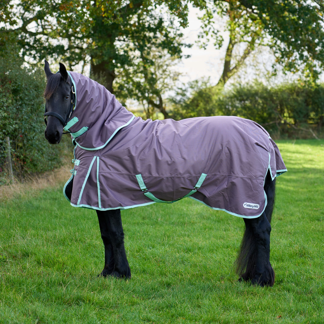 Millbry Hill Pro 200g Detach A Neck Turnout Rug