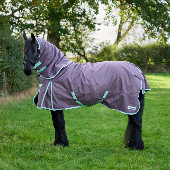 Millbry Hill Pro 200g Detach A Neck Turnout Rug