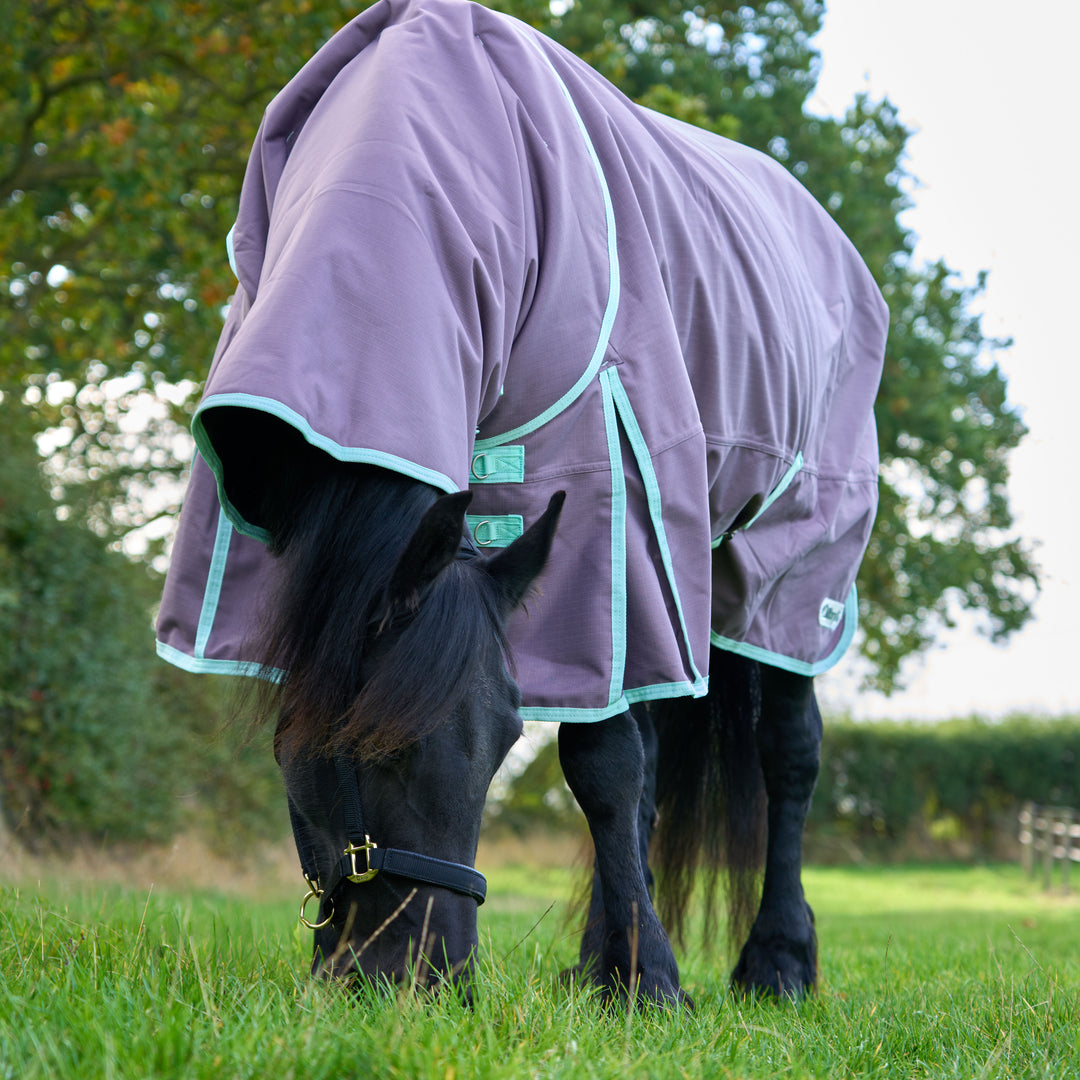 Millbry Hill Pro 200g Detach A Neck Turnout Rug