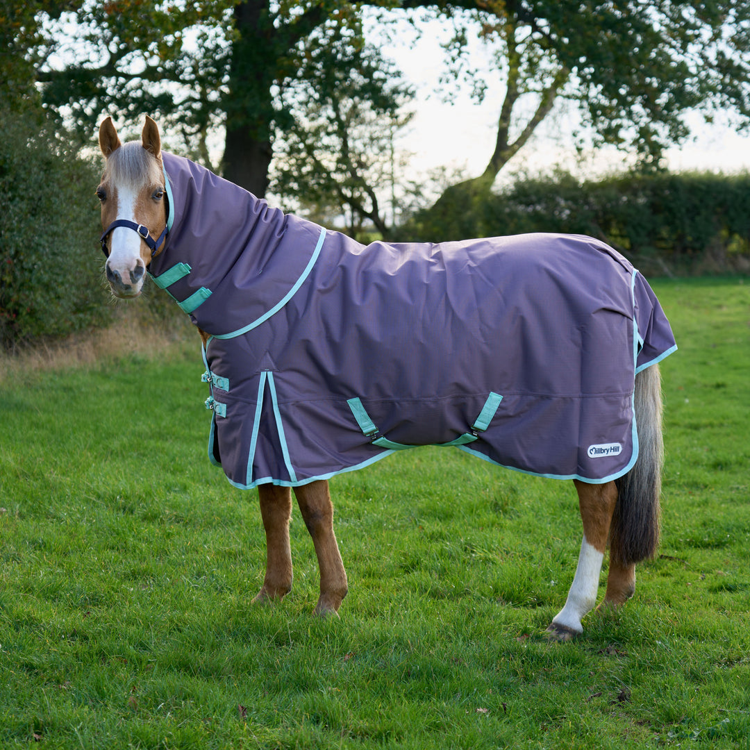 Millbry Hill Pro 200g Detach A Neck Turnout Rug