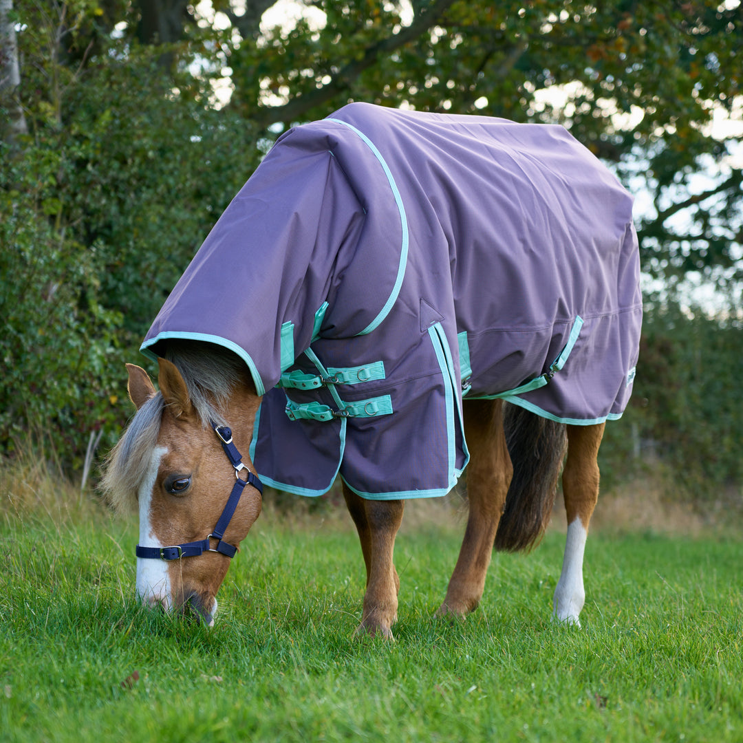 Millbry Hill Pro 200g Detach A Neck Turnout Rug