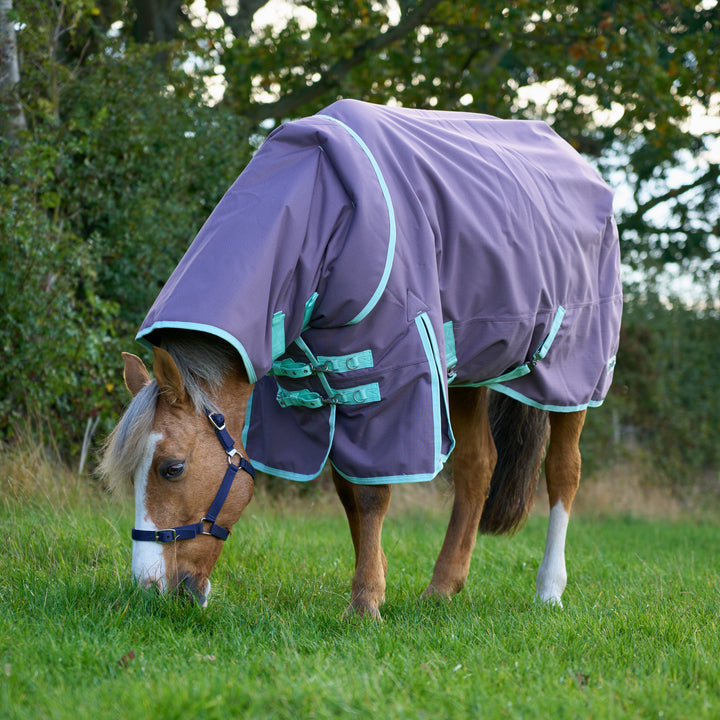 Millbry Hill Pro 200g Detach A Neck Turnout Rug