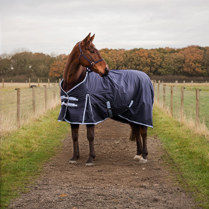 Millbry Hill 200g Classic Standard Turnout Rug