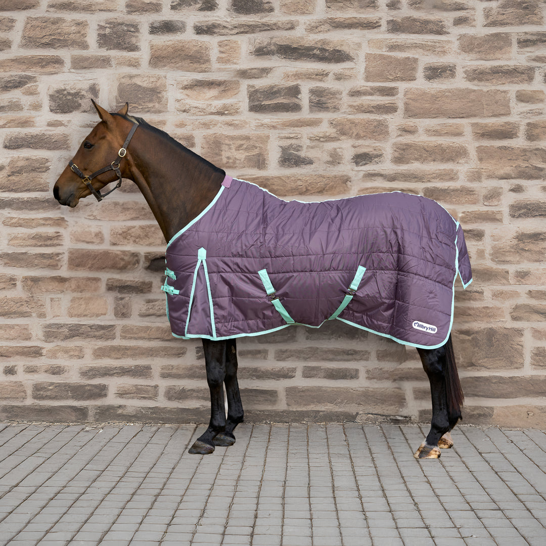 Millbry Hill Pro 200g Standard Stable Rug