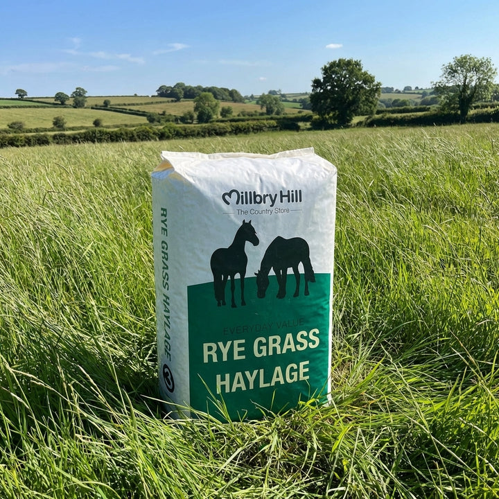 Millbry Hill Rye Grass Haylage